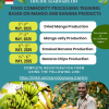 Online Seminars on Food Commodity Processing Training based on Mango and Banana Products